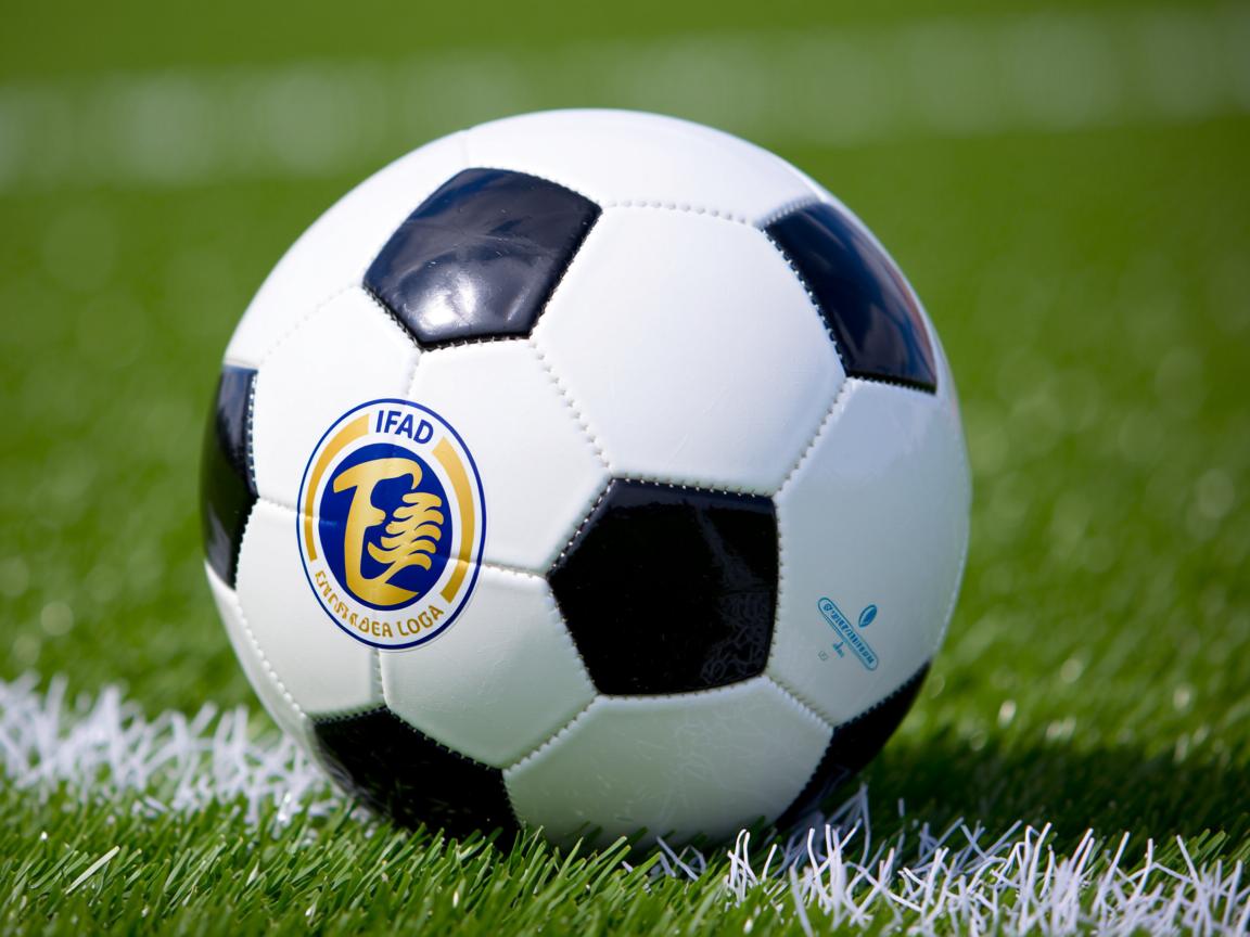 米兰体育平台-中美蝶泳中段配速策略大不同,中游体育蝶泳视频 第3张